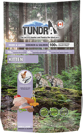 Tundra_Katze_1,5kg_Kitten